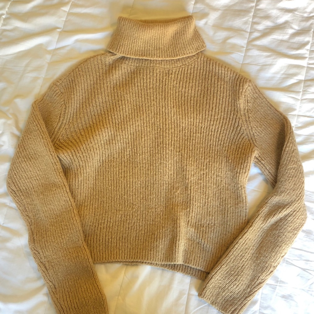 Beige Knit Turtleneck Crop
